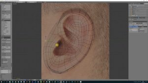 Ear Modeling 2019 in Blender 3d