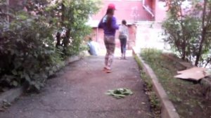 Бешеная курица отгоняет кота