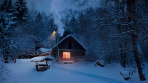 Сказка зимнего леса