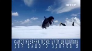 Гриппостад С