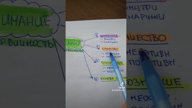 ВНИМАНИЕ. УРОК 1.