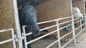 7.01.2025г С Праздником Рождества Христова, Орлиное Гнездо  Горячий ключ 👍