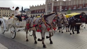 ПРОГУЛКА ПО КРАКОВУ ПОЛЬША
KRACOW WALKING