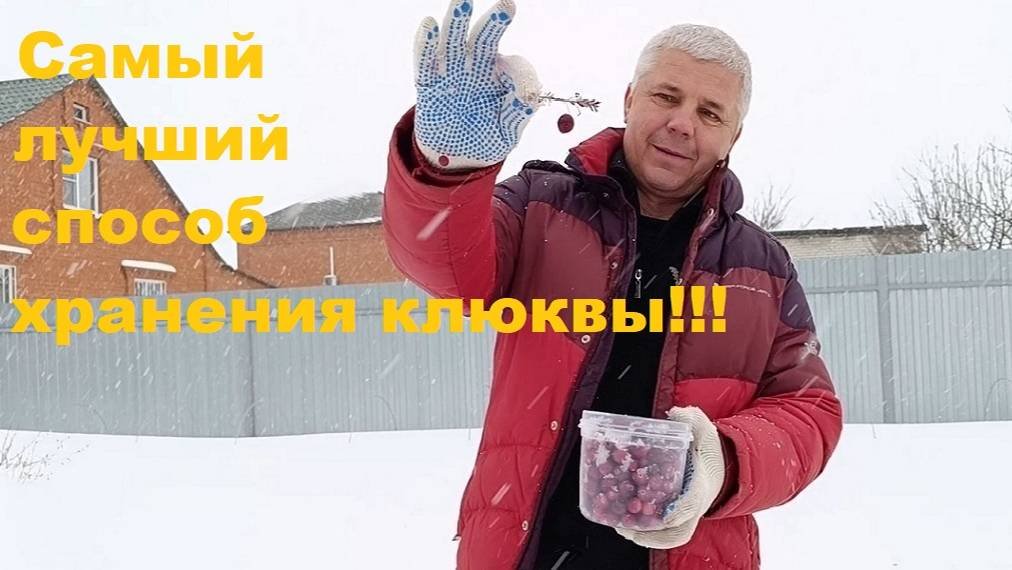 Самое лучшее хранение клюквы!!!