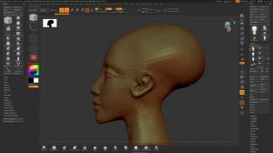 Amarna Princess ZBrush Retopo