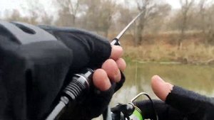 Arion 742 suls 0.8-5 VS  Gamakatsu hana 63 0.1-3.Пераые впечатления от японского японца)