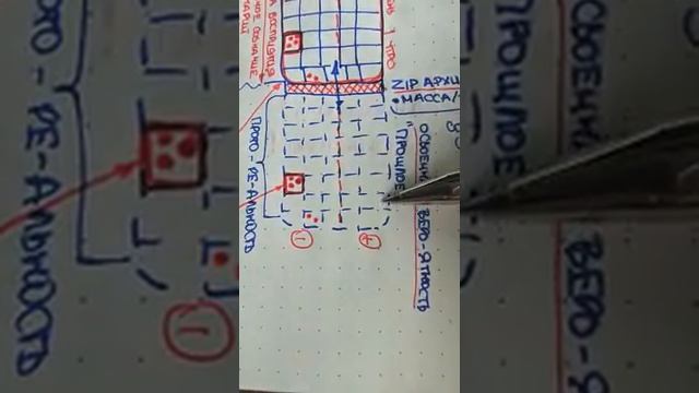 ЯЧЕЙКИ ПАРАЛЛЕЛЬНЫХ РЕАЛЬНОСТЕЙ. 1.61