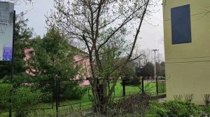 Сербия.  Суботица.  Районы.