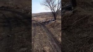 ОХОТА С ПНЕВМАТИКОЙ