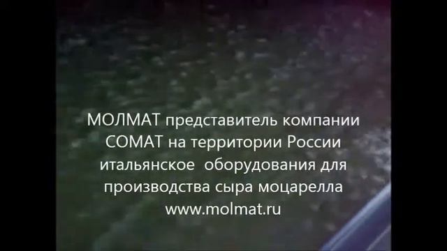 производство сырного зерна для моцареллы