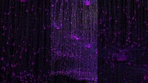 ул.Красная,Краснодар.mp4