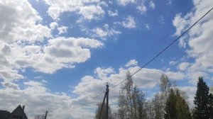 Огородник растёт,сажаю подарок