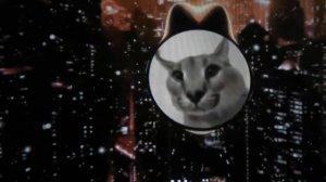 ШЛЕПА - ХОРОШИЕ ПЕЛЬМЕНИ ЭТО ОЧЕНЬ ВКУСНО REMIX