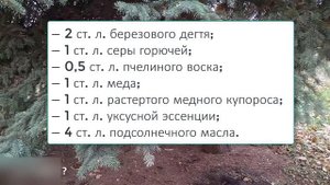 ЭКЗЕМА и ПСОРИАЗ боятся КАК ОГНЯ этой МАЗИ Кошкина