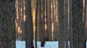 Рождество на передовой в Курской области.