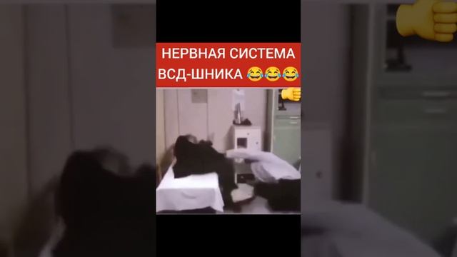 Нервная система всд-шника