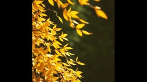 Михаил Лермонтов — Осень