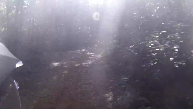 Serious River Crossings on the NC700XD "Rolling Down The River" ( NC700X ) смотреть онлайн