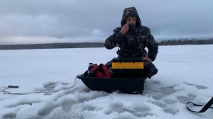 ЗИМНЯЯ РЫБАЛКА в январе.Окунь и плотва на мормышку.
