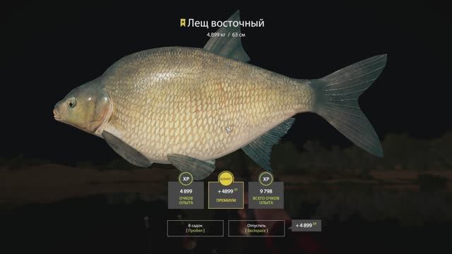 Русская рыбалка 4 трофей Леща восточного на реке Ахтуба