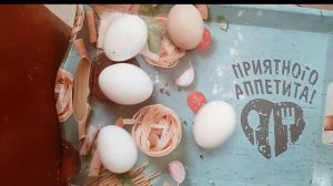 Расизм. Смысл поймут даже дети