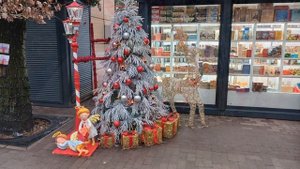 1000024499.mp4 с Рождеством из Светлогорска