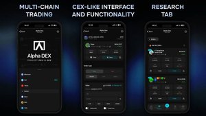 Обучение по Alpha DEX
