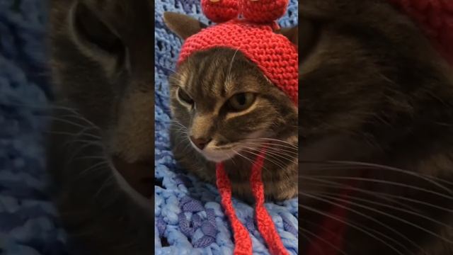 Вяжем. Шапка с глазками