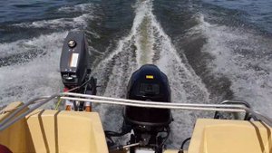 Tohatsu MFS 30C 4 stroke