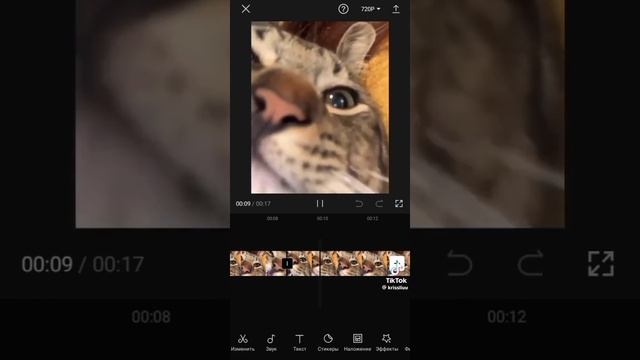 пхахах 🤣