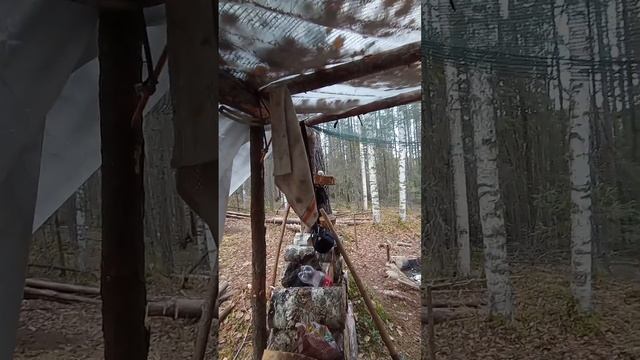 Шалаш разгромлен! #shorts #short