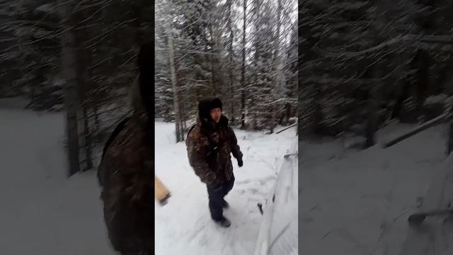 Новости из тайги #shorts #short