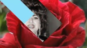 Ещё не отпели мои соловьи ,солистка Л. Белогорцева, музыка В. Пипекина, слова  А.