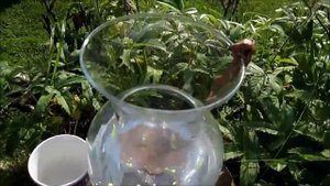 УДОБРЕНИЯ ИЗ ВОДЫ