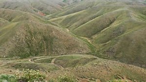 Губерлинская гармония