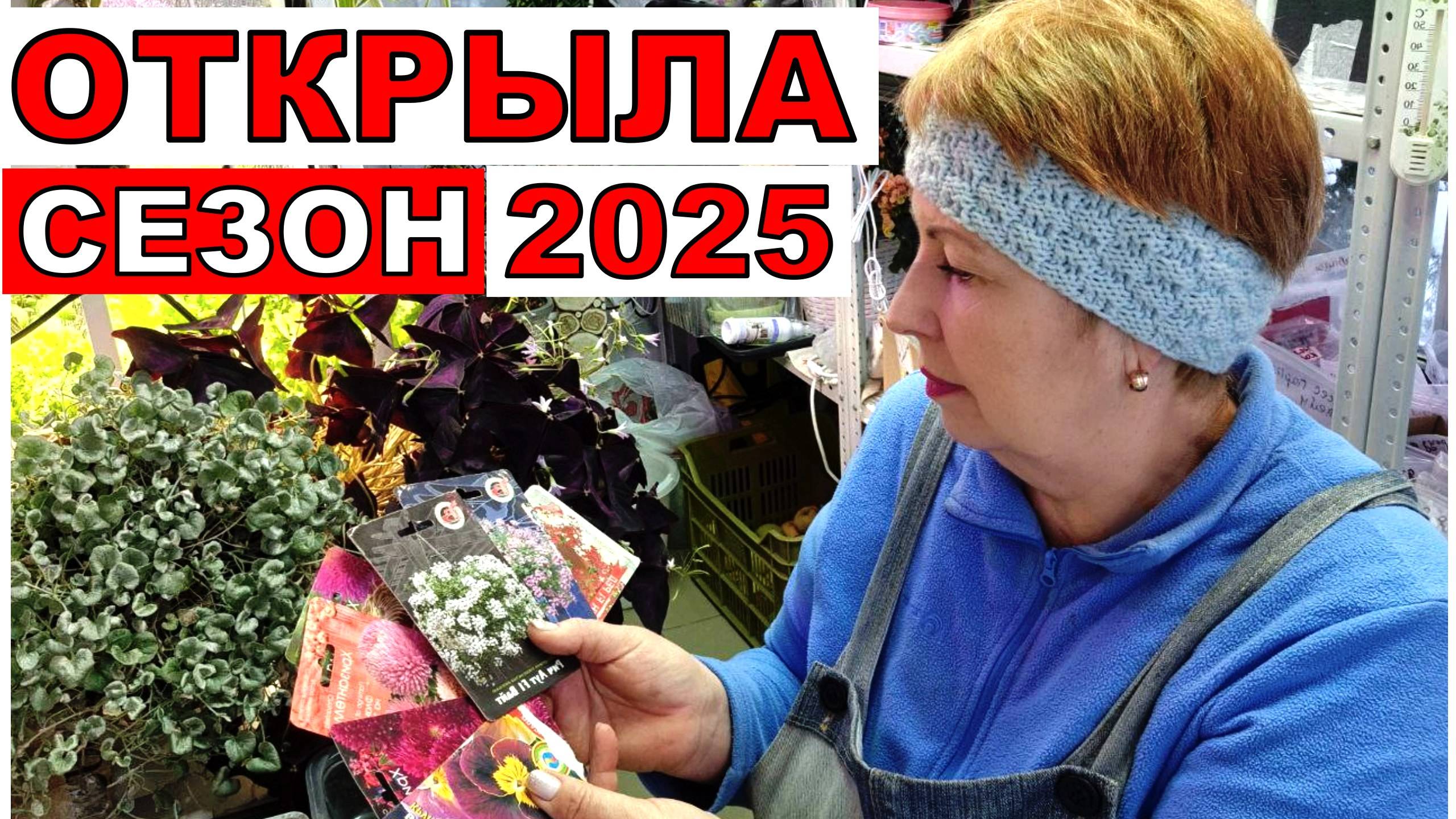 Какие культуры цветов и овощей буду сеять в январе_ Сезон посева на 2025 год открыла