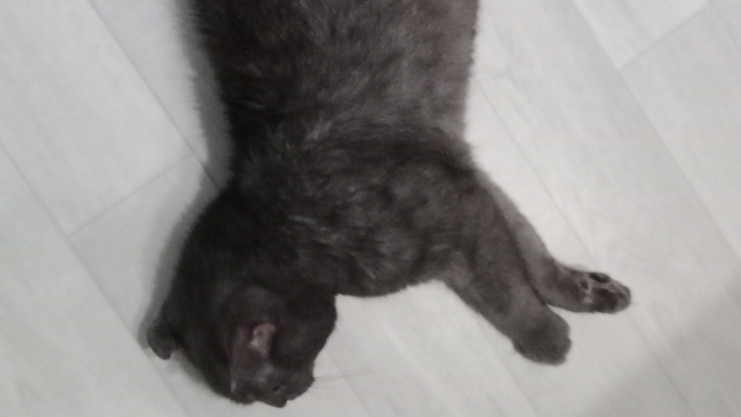 липутовский смотреть онлайн