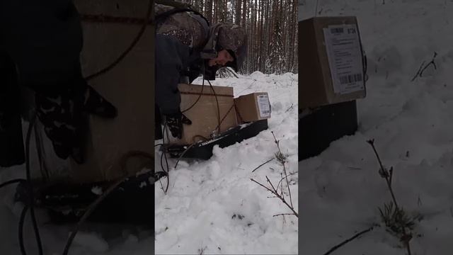Доставка по тайге не лёгкая! #shorts #short