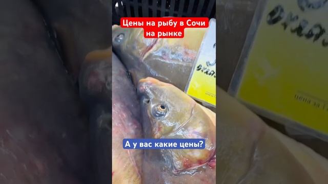 Цены на рыбу в Сочи на Рынке✅ #базар #сочи #рыбавсочи #рыноквсочи