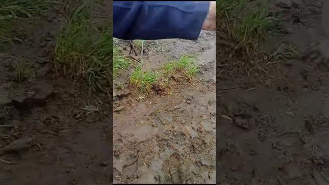 На Рыбалке .#РЫБАЛКА #ОБЬ#ИРТЫШ#РЫБАЯЗЬЩУКА  #отдых