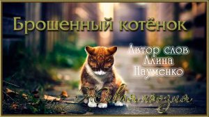 БРОШЕННЫЙ КОТЁНОК. Автор слов моя доченька Алинка