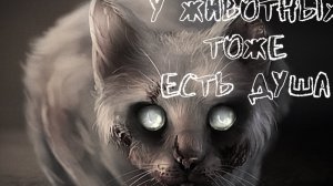 у животных тоже есть душа