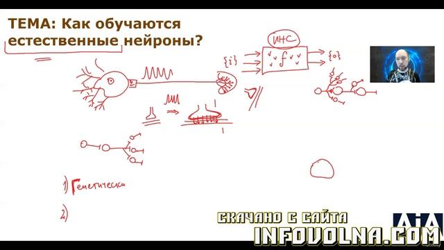 8. Естественные нейронные сети