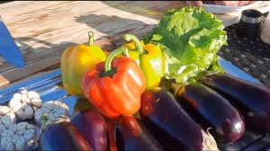 Фаршированные Баклажаны На Дровах