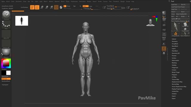 001 Zbrush 2020 Disabling Camview And Thumbnail