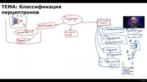 26. Классификация перцептронов