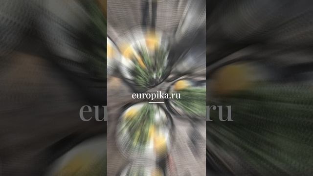 Сковорода чугунная для блинов Skeppshult 0000, 17 см #чугуннаясковородадляяиц