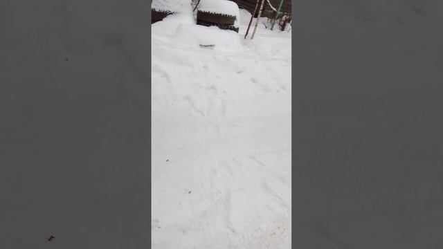 К.1 в сугробе