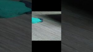 07-01-2025