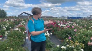 Цветение пионов в нашем питомнике. Отзывы (3я часть). Пулков сад, 2024 г.